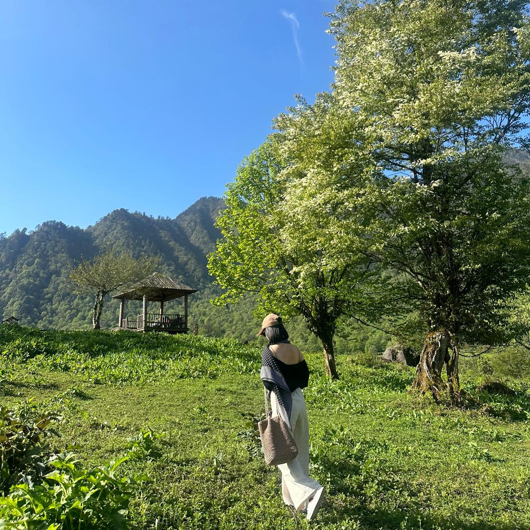 姗🌼