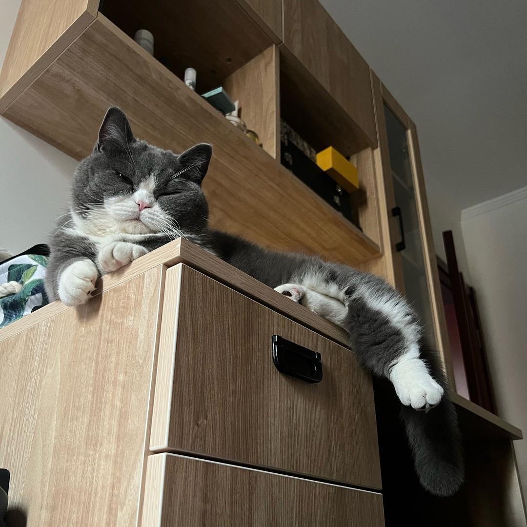 你凭什么打我？