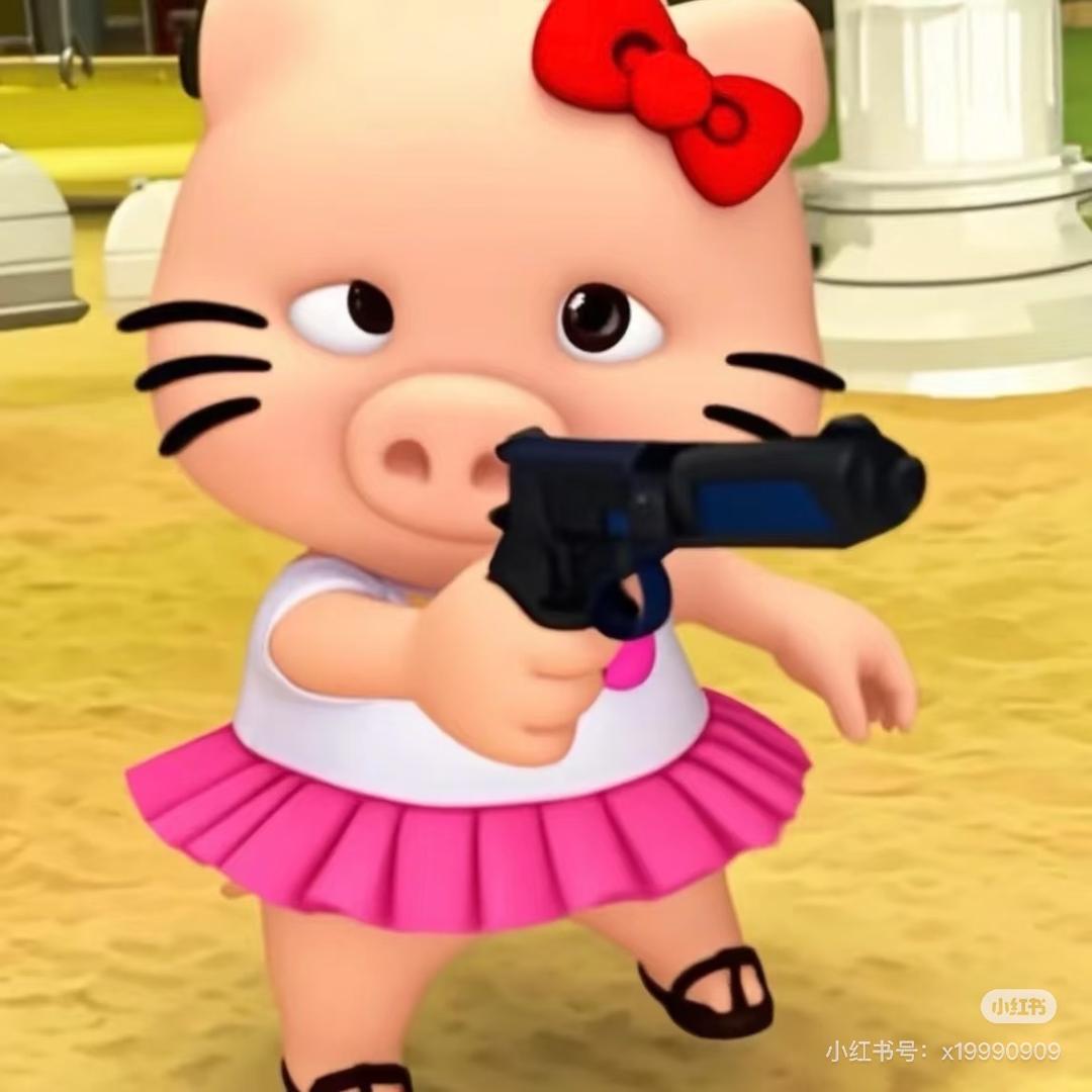 菲菲猪