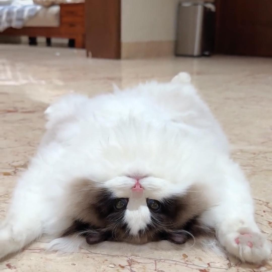 不想休息