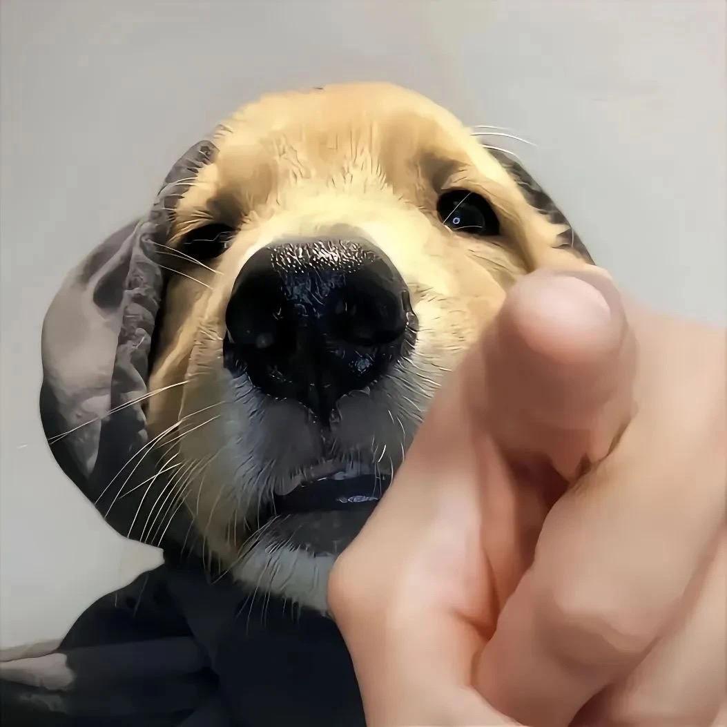 神马