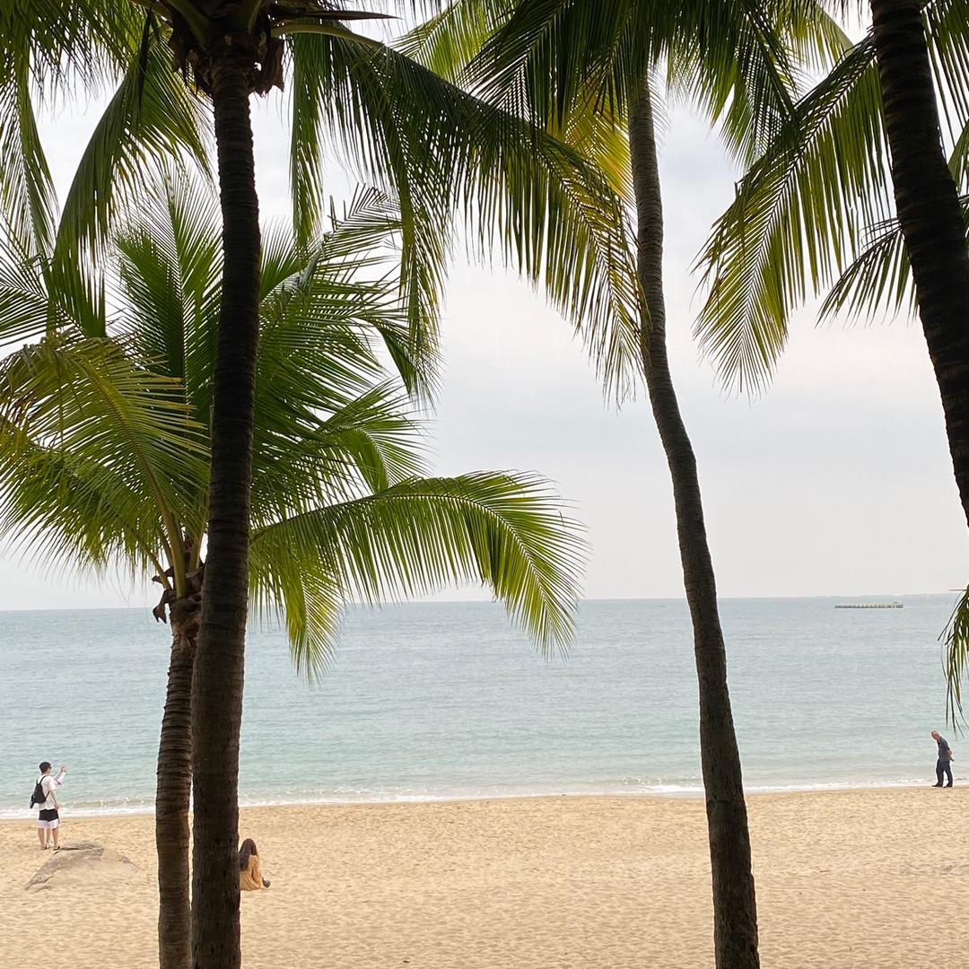 小迪（张六六）