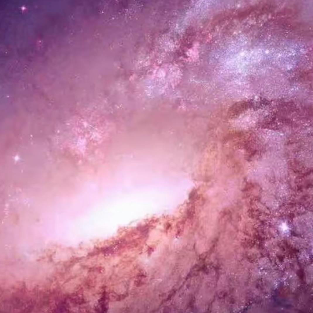 财神爷的心头肉♥️