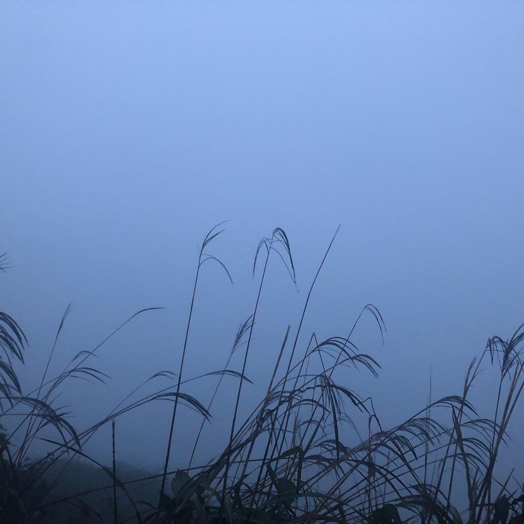 小汐宝