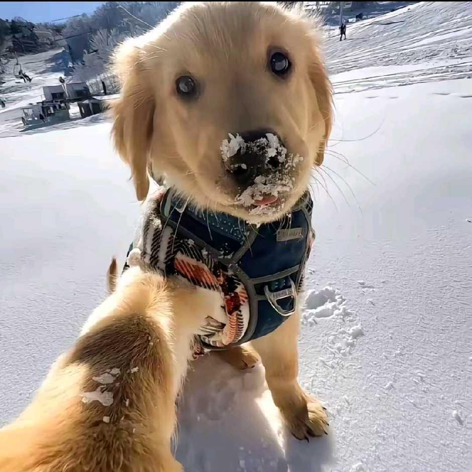 ʟ̆̈ᴜ̆̈ᴄ̆̈ᴋ̆̈ʏ̆̈🧡