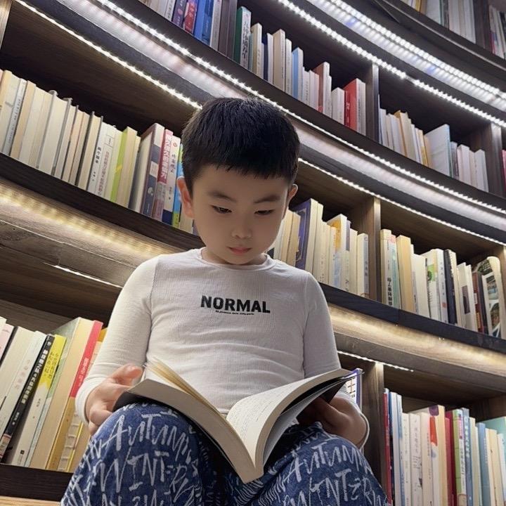 石头记