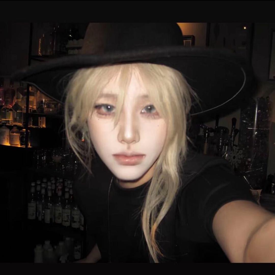 李李李清照🌙