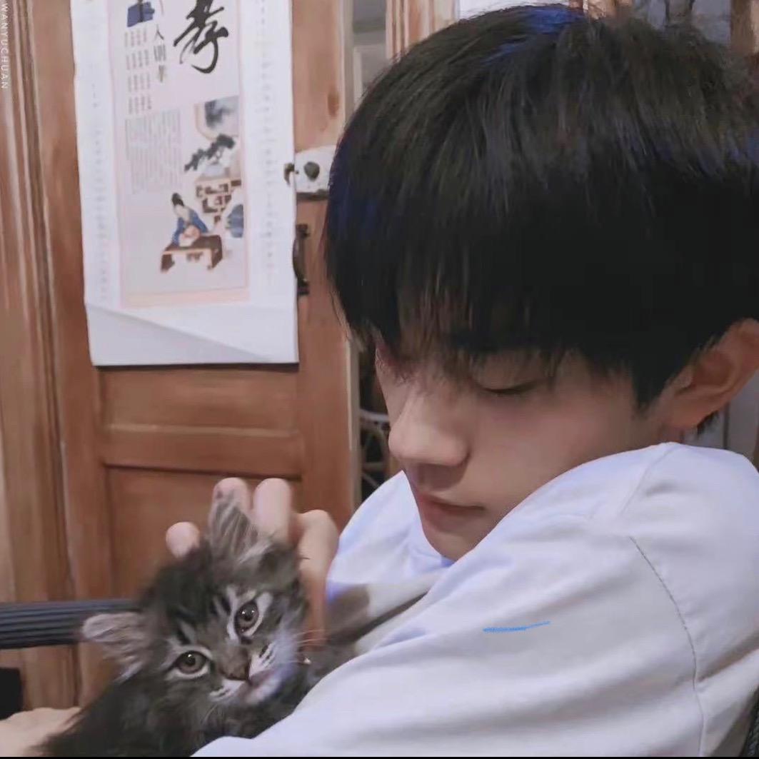 小智