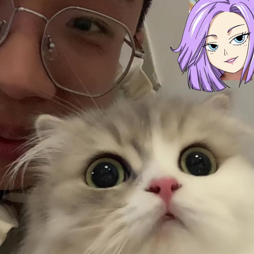 喜它宠物店官方号