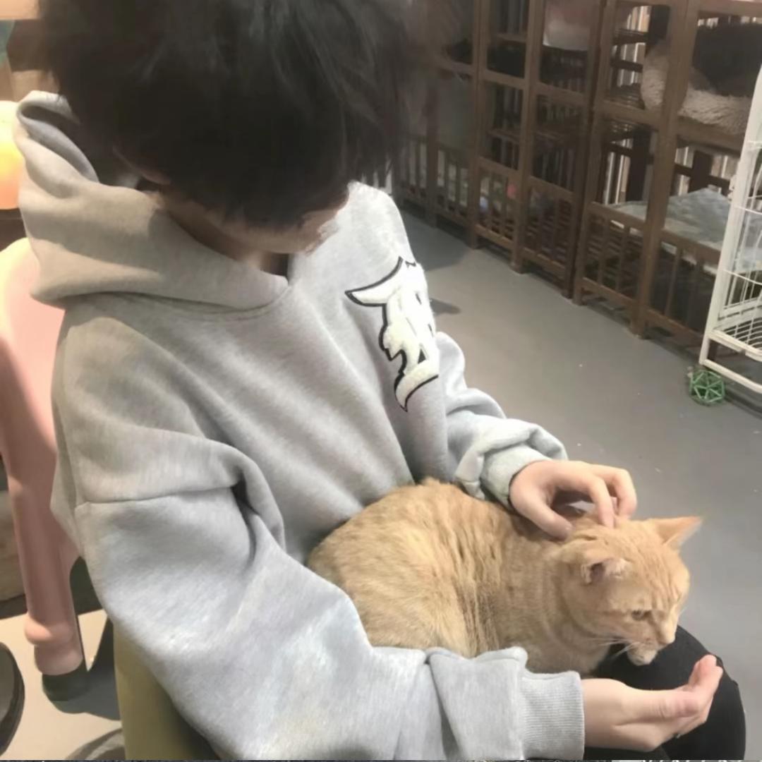 麻小