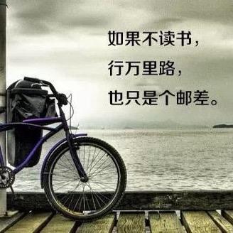 不良【zheng】