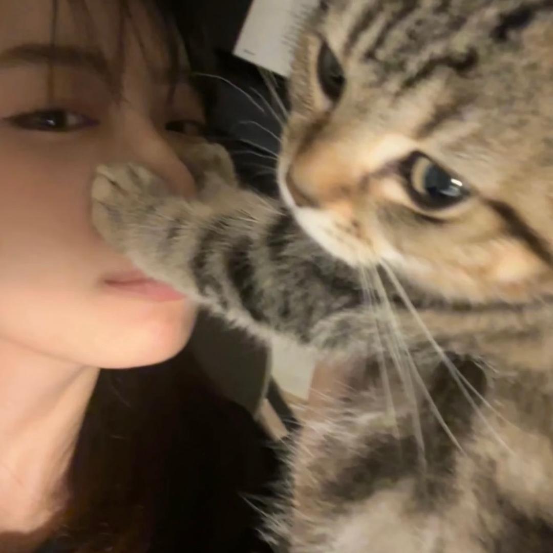 福福贝果塔🥯