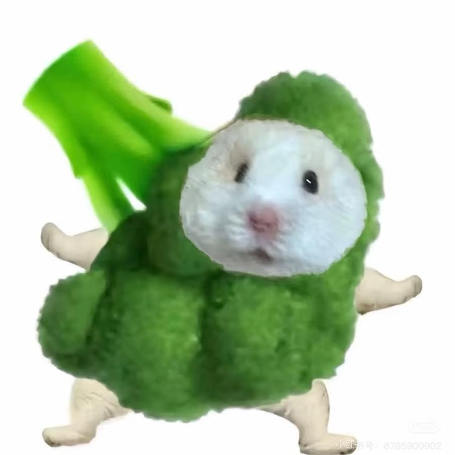鲨鱼大王