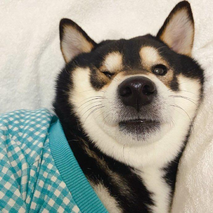 顾咕咕
