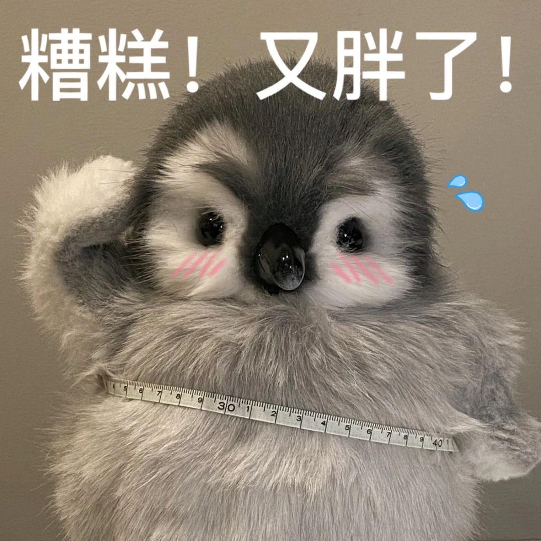 小北同学