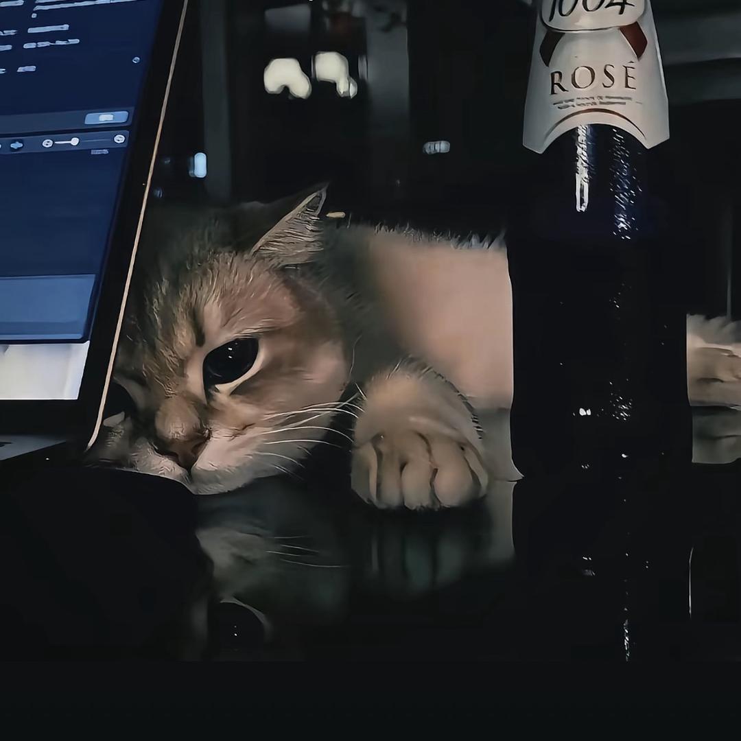 曹孟德