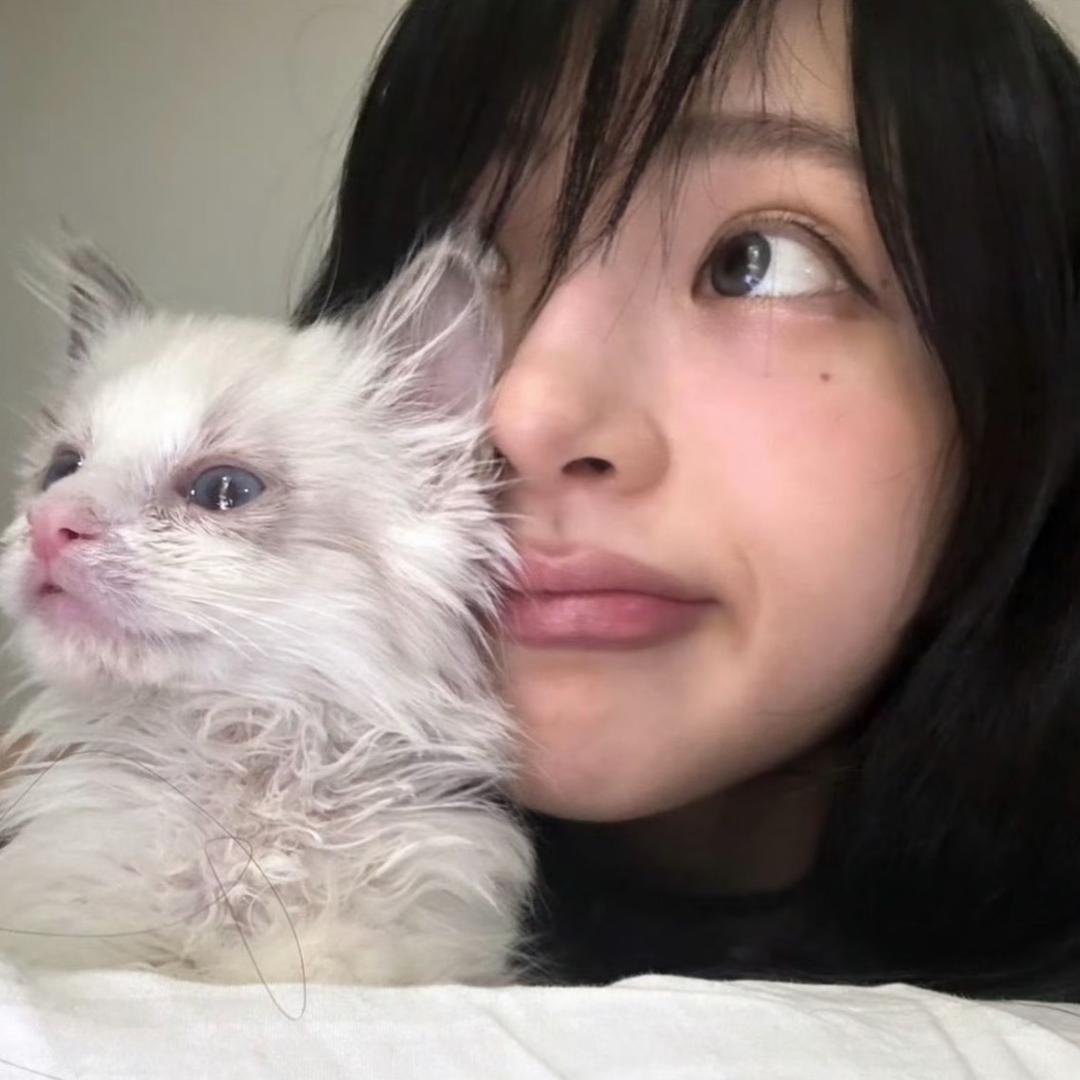 橘子。