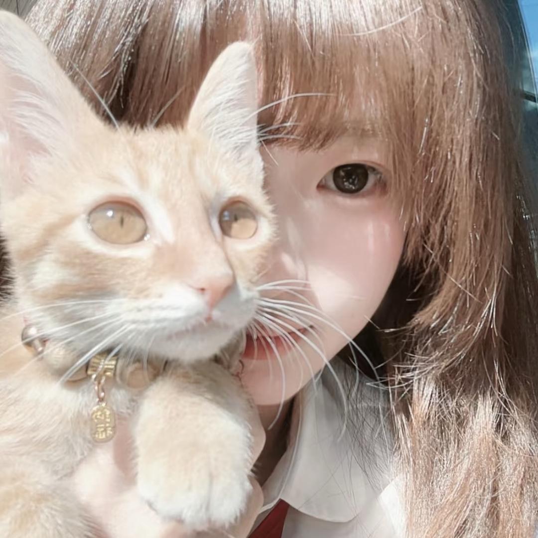 ︋︋︋︋︋21   ㅤㅤㅤㅤ