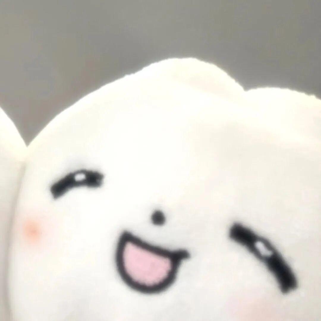 ￴￴ ￴￴￴Yuri