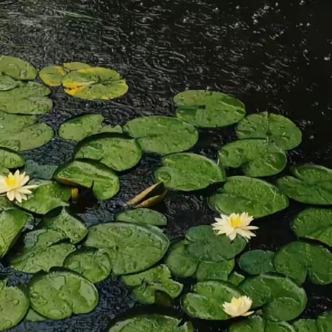 XIMAX太古户外轻奢断码上海S