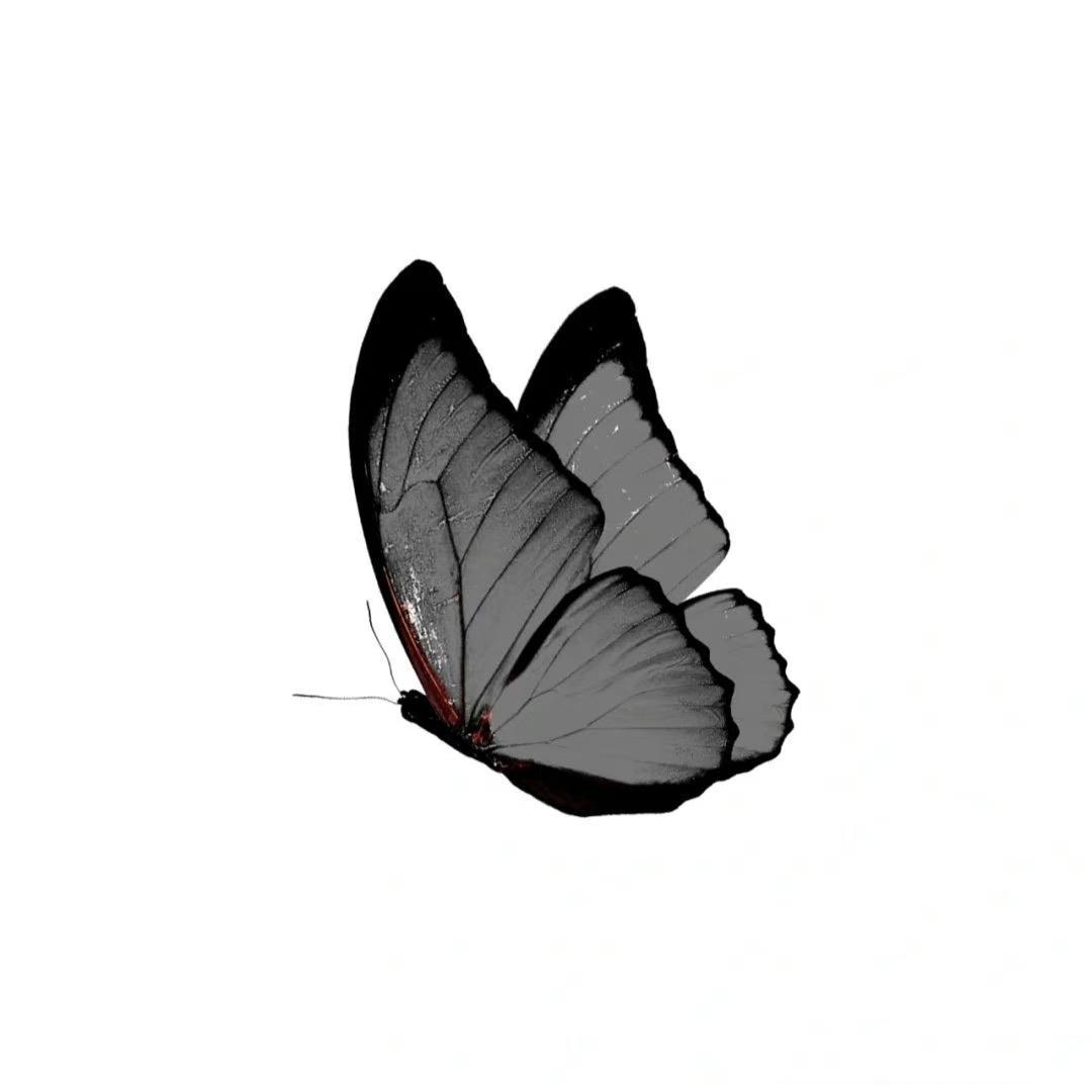 仙游首家贵阳冰浆双妹暴冰