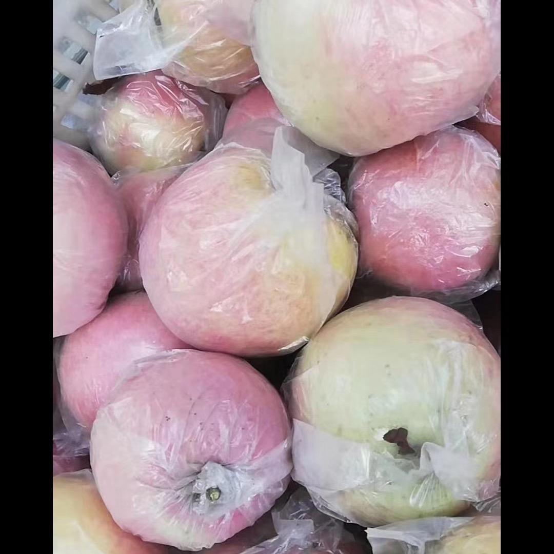 飞燕