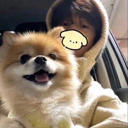 悲伤火龙果