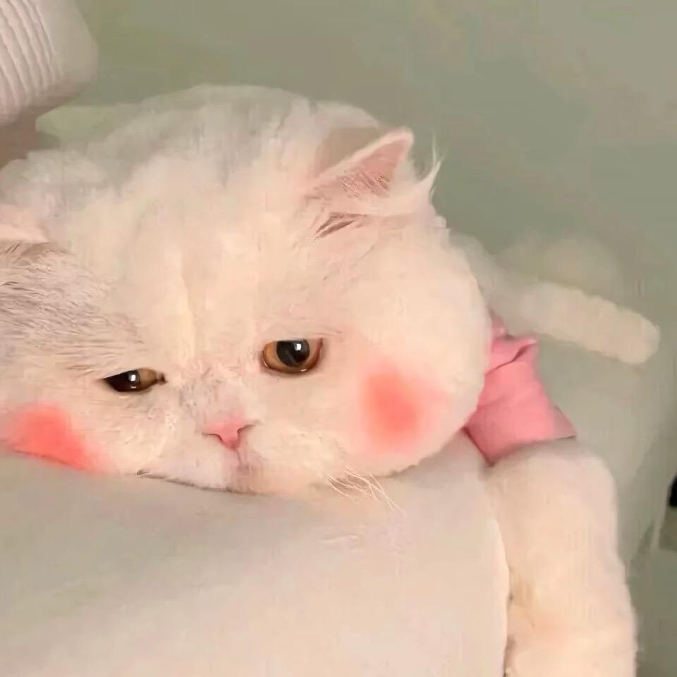 丹妮江江好^ ＿^