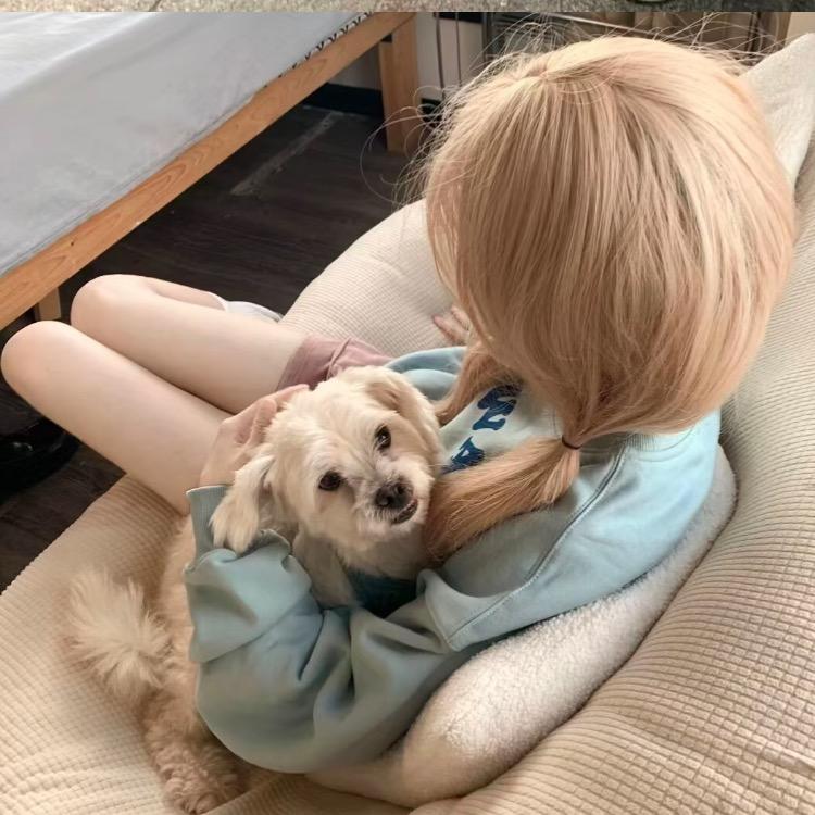 自信小蟑螂