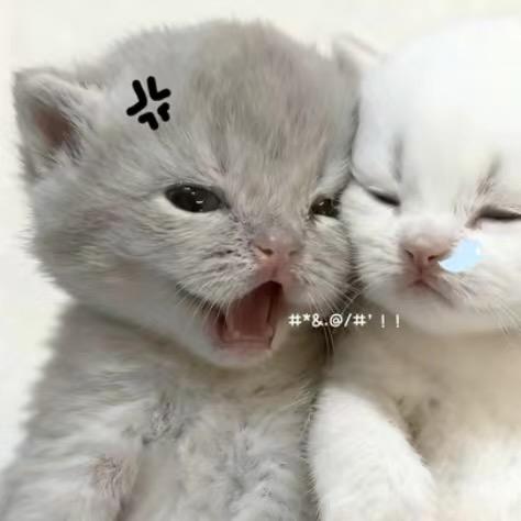 忧郁的富二代