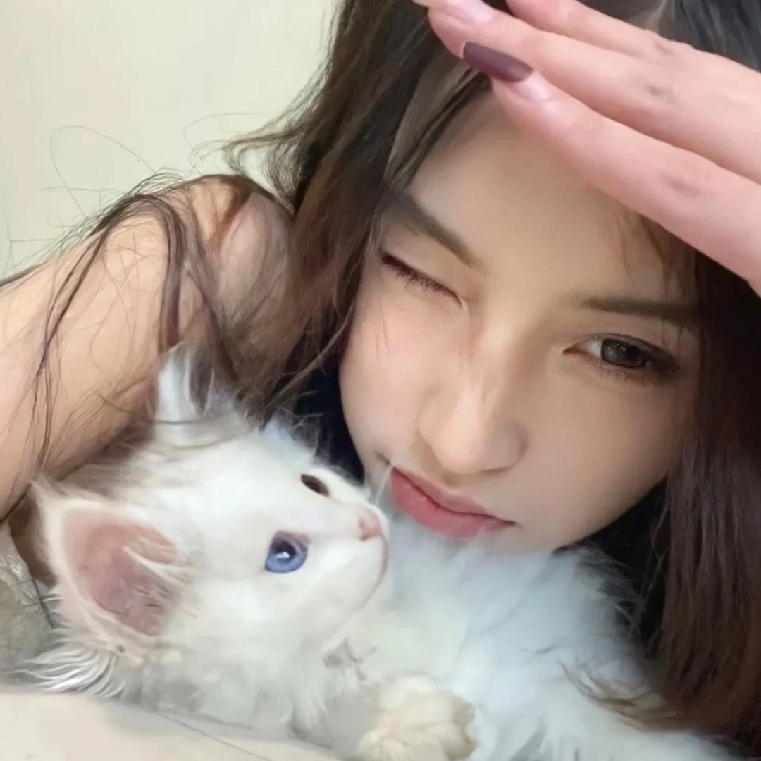蛋壳zi