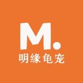 明缘龟宠