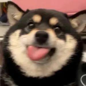 麦乐猪块！