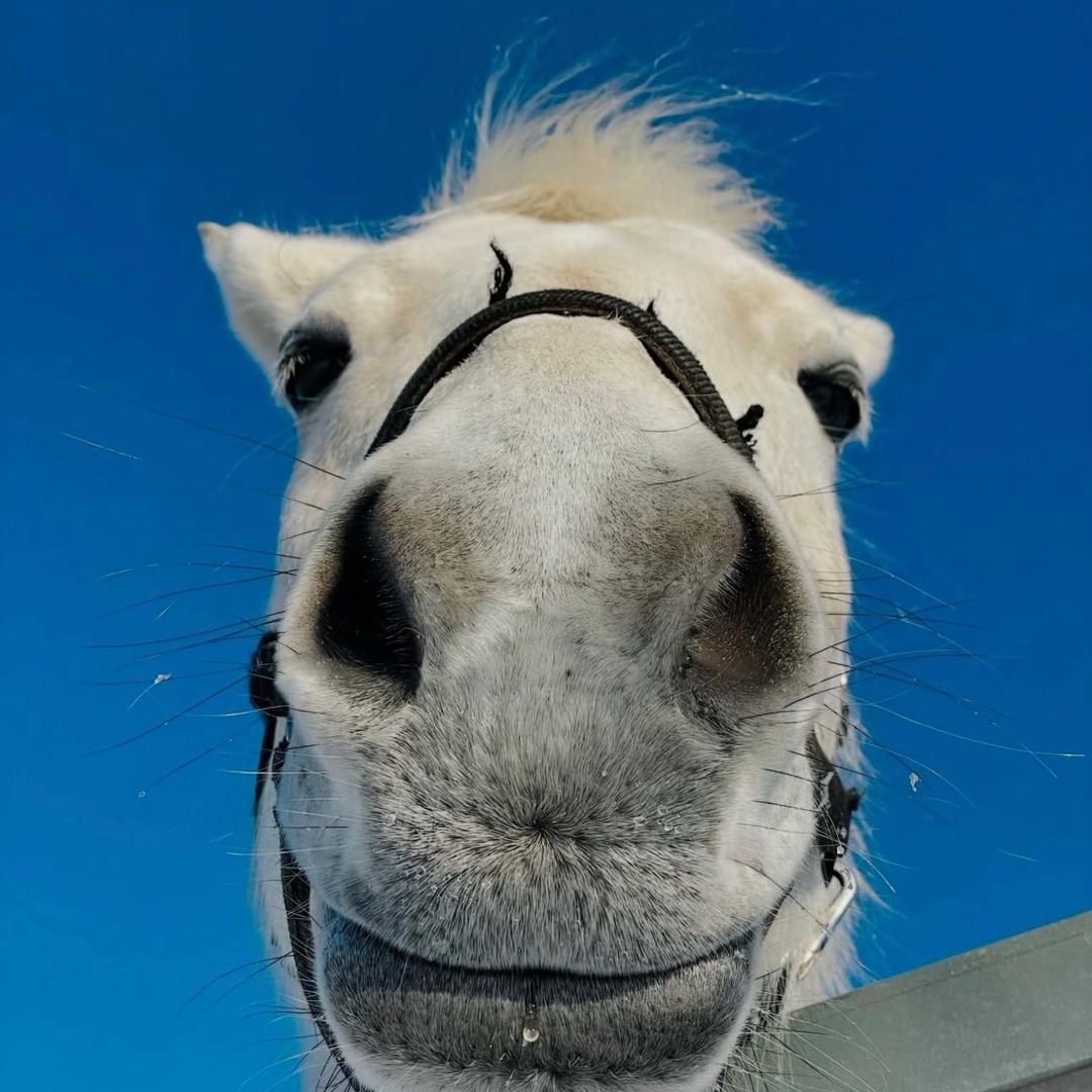 𝗠𝗮𝗸𝗮𝗯𝗮𝗸𝗮.🤍