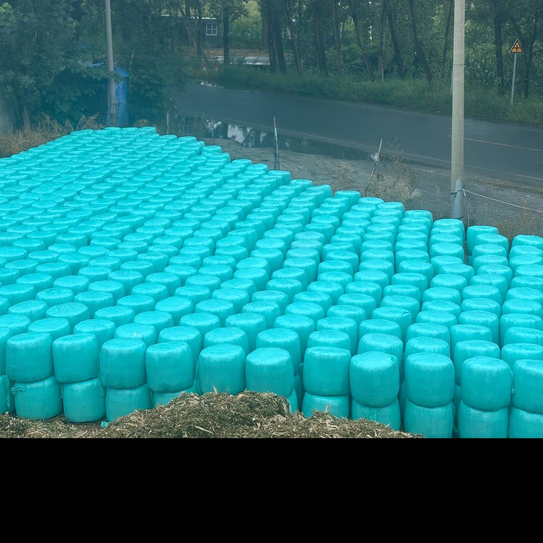 青黄储打包代加工