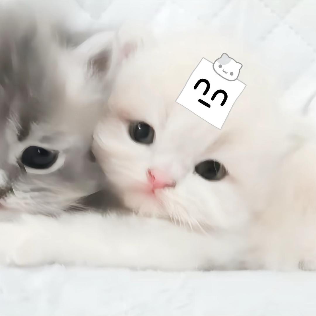 呆宅mi