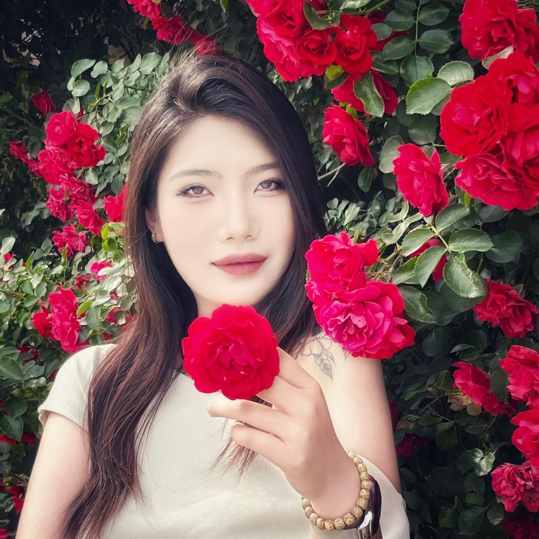 鑫鑫的鲜花
