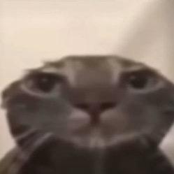 游戏这点事儿🌚