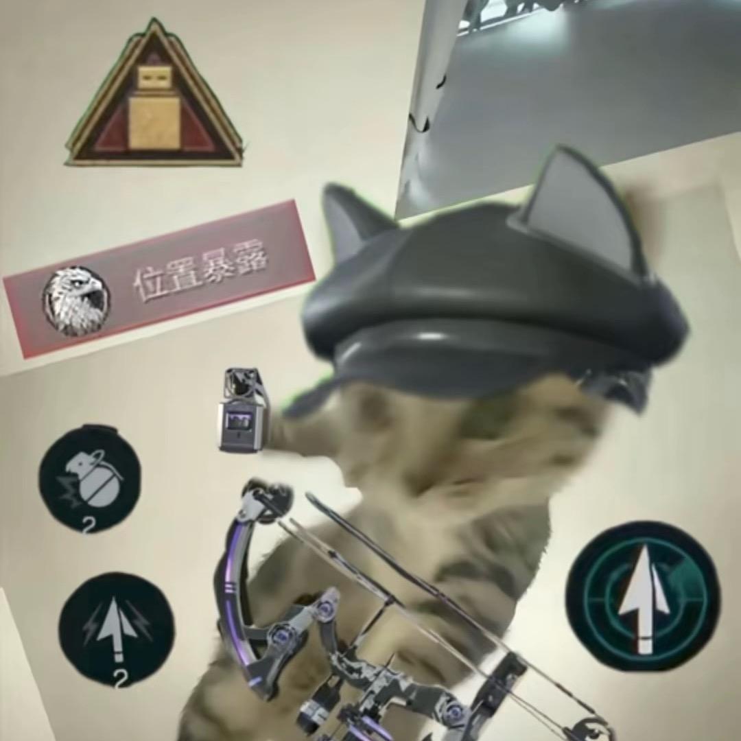 派大星爱抓水母