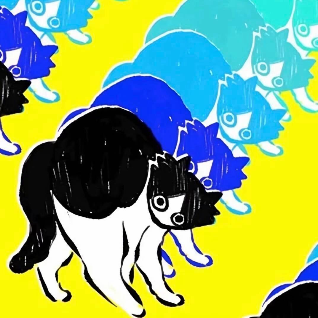 变成猫后不洗头