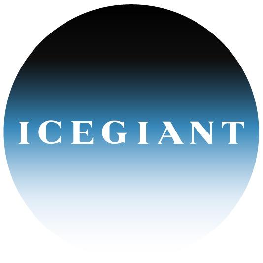 iCEGIANT品牌日志
