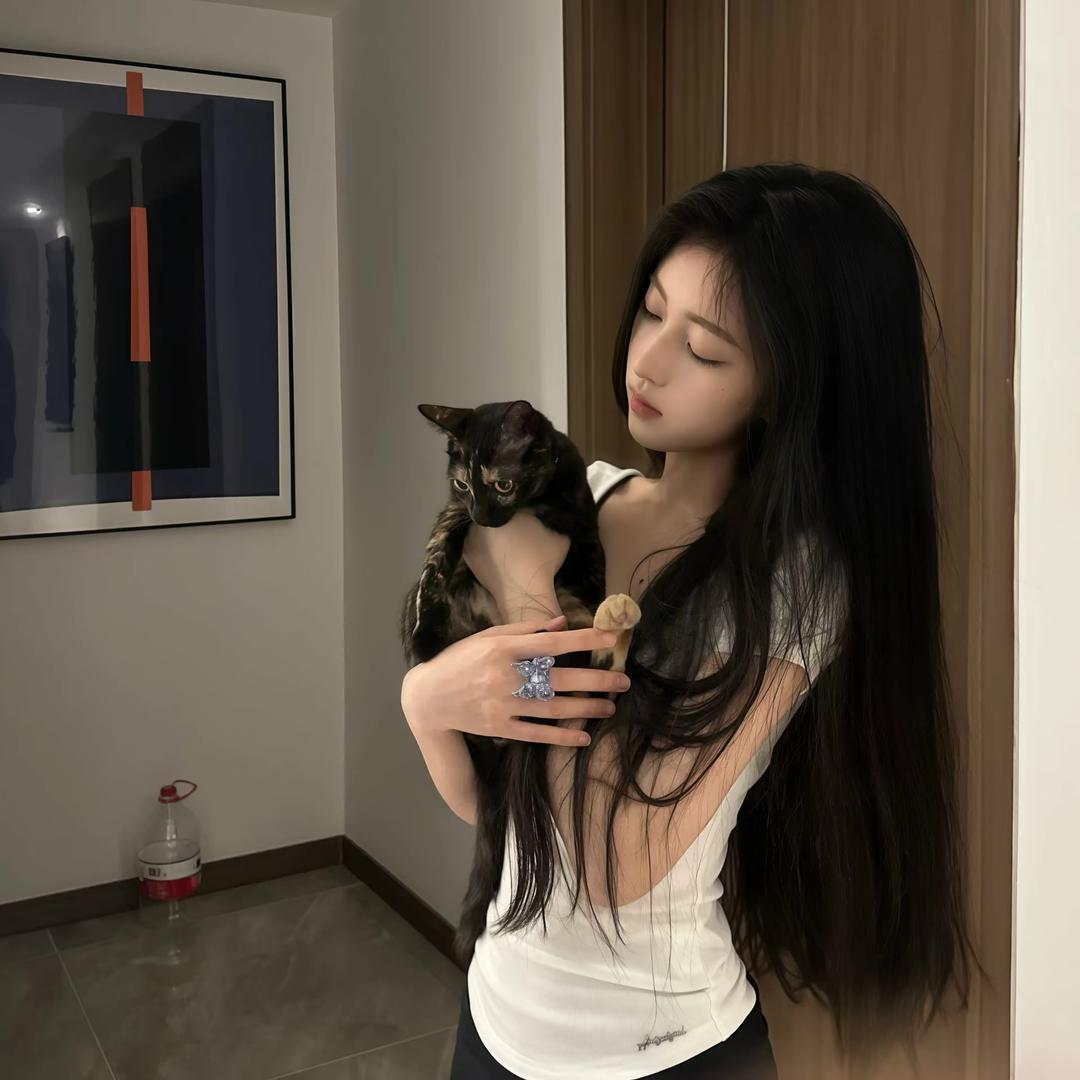 我他妈不是懒洋洋^