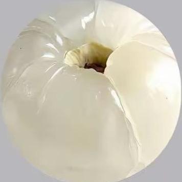 Lizizi