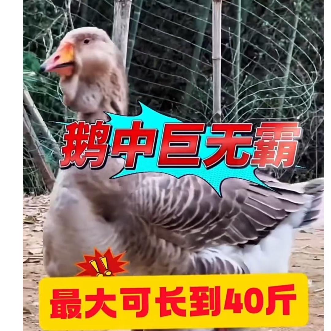 锐汐商贸优品铺子