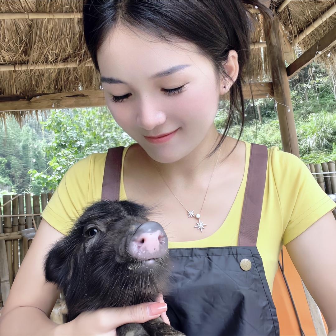 仙女味的猪