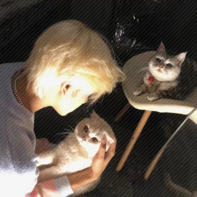 贰零.
