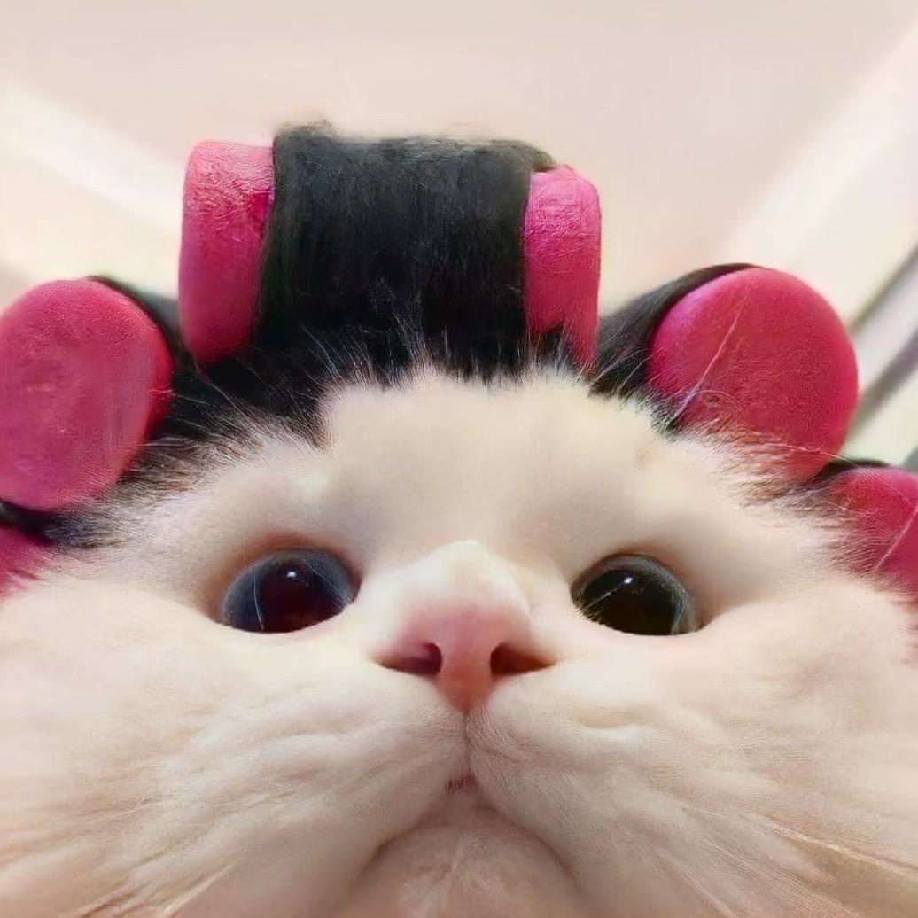 粥粥^