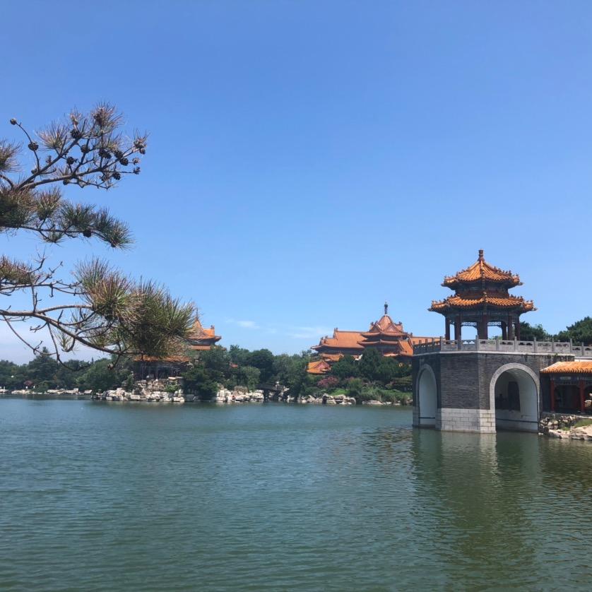 东九哥
