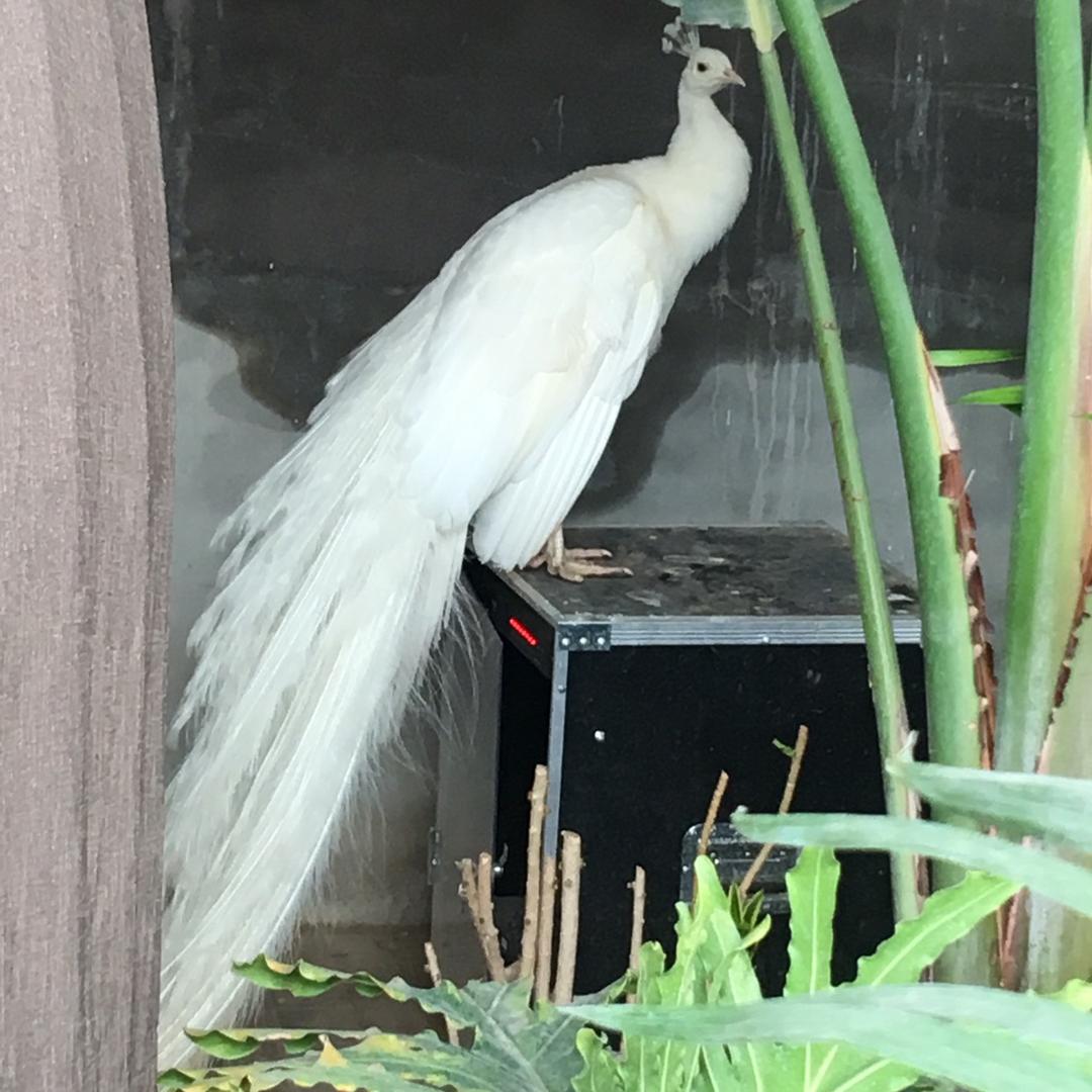 不知冬
