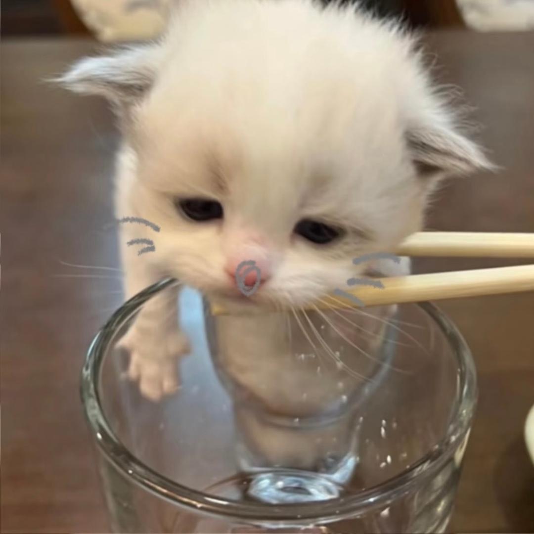 月亮邮递员-🎣